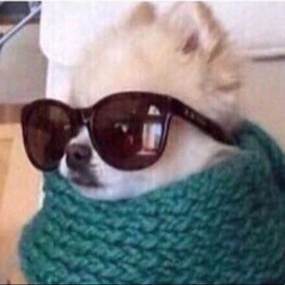 Meet your Posher, Lisa